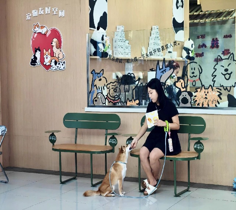 微信图片_2026-08-18_105055_825_副本.jpg
